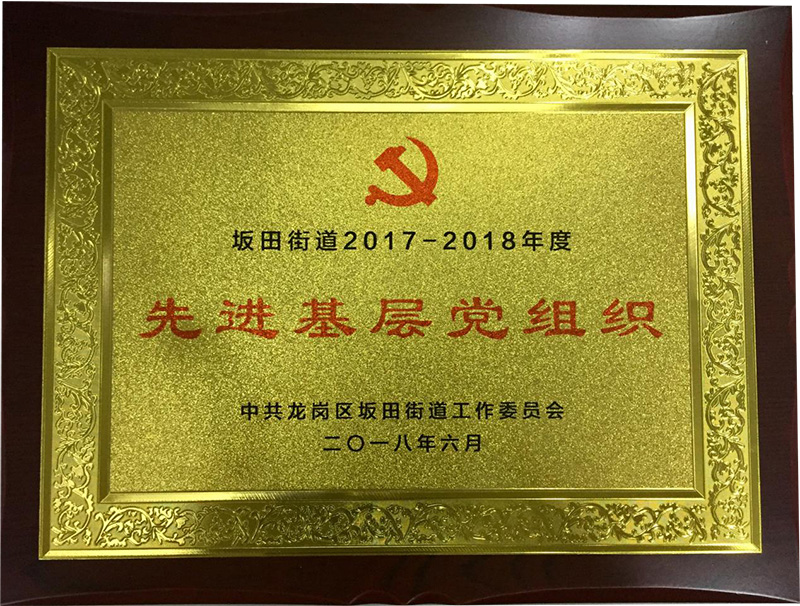康冠公司党支部荣获“先进基层党组织”称号